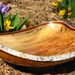 Natural bark edge birch crotch with wild grain
