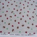 SALE - Hedgehog Ladybug on Beige - Fat Quarter (11i1227)