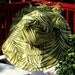Jungle Queen Green Sunhat
