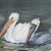 Daily Painting, Oil Original, Birds, "Pelican Buddies", 6x8"