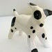 Black and White Spotted Pup