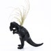 Dinosaur Planter with Air Plant, College Dorm Ornament, Geekery, Plants and Edibles, Black Plant Pot