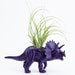 Small Dinosaur Planter with Air Plant Room Decor, College Dorm Ornament Plants and Edibles