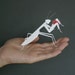 Praying Mantis