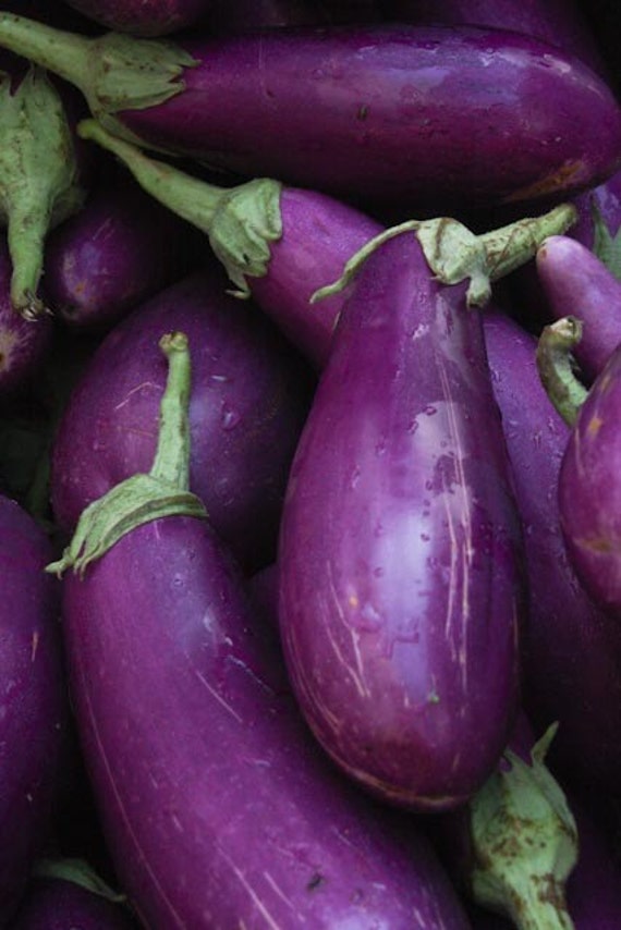 Items similar to Plum Purple Eggplant at the Farmers 