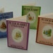 Set of Four Miniature Peter Rabbit Books with Colorful Printed Pages