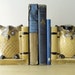 wise owl bookends, back to school, googly eyes