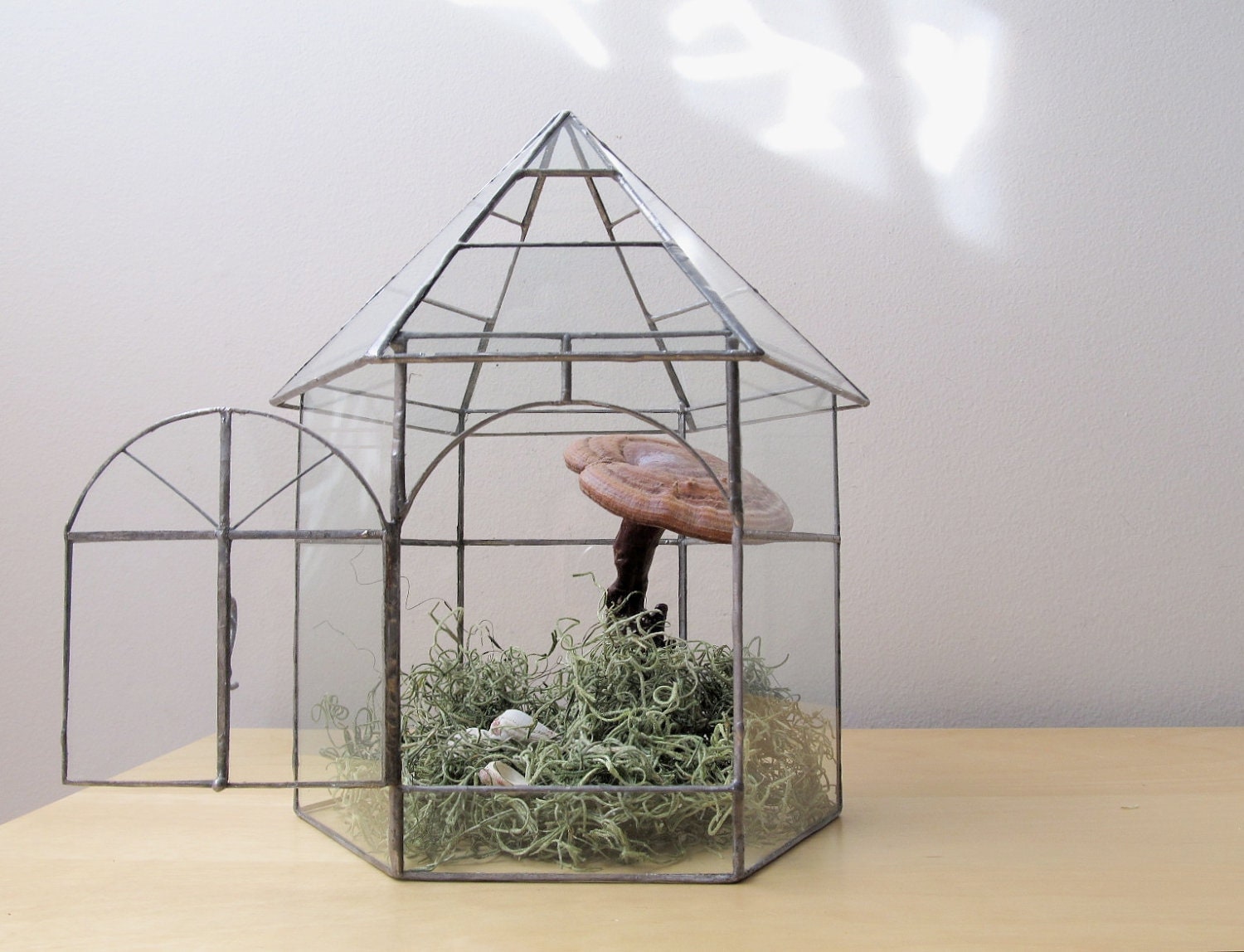 vintage greenhouse botanical garden glass terrarium