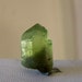 Peridot Crystal - Terminated point - Natural Peridot - wire wrap stone - rockhound - raw rough - mineral mounting supply