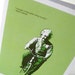 Reserved for Sarah Biking Albert - 4 pack