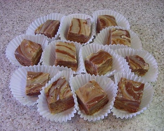 Chocolate Maple Fudge Swirl - 8 oz. Container Plus