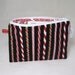 Peppermint Stick Lined Zip Pouch - Pencil Case or Notion Bag