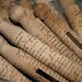 Wooden Clothespins - French Script - Vintage Style - Stamped and Distressed