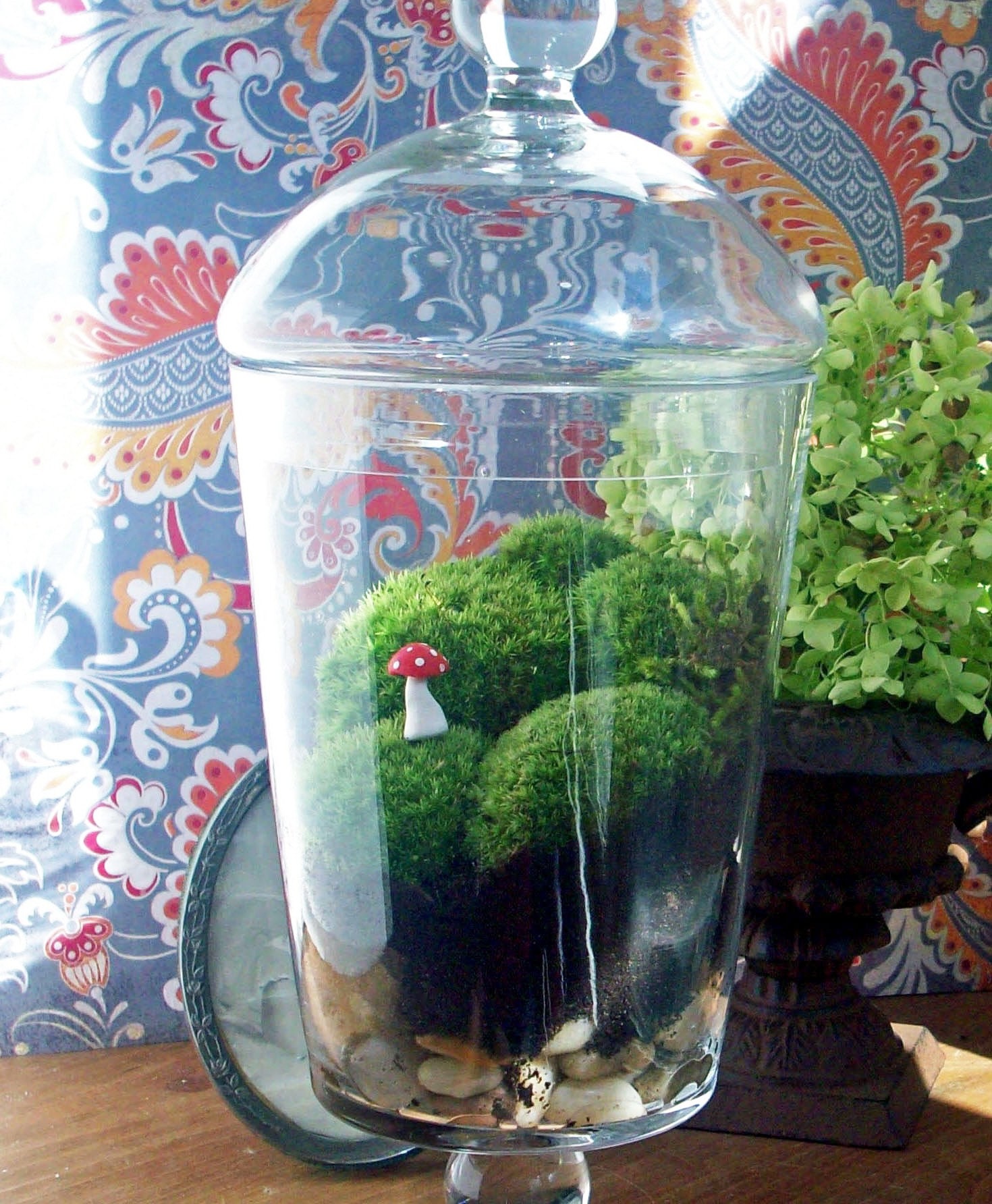 Apothecary Jar Terrarium No. 11 by blithegardens on Etsy