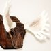 Felted Moose Head