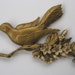 Bird on a Branch