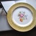 Vintage Dinner Plate Royal Winton Grimwades