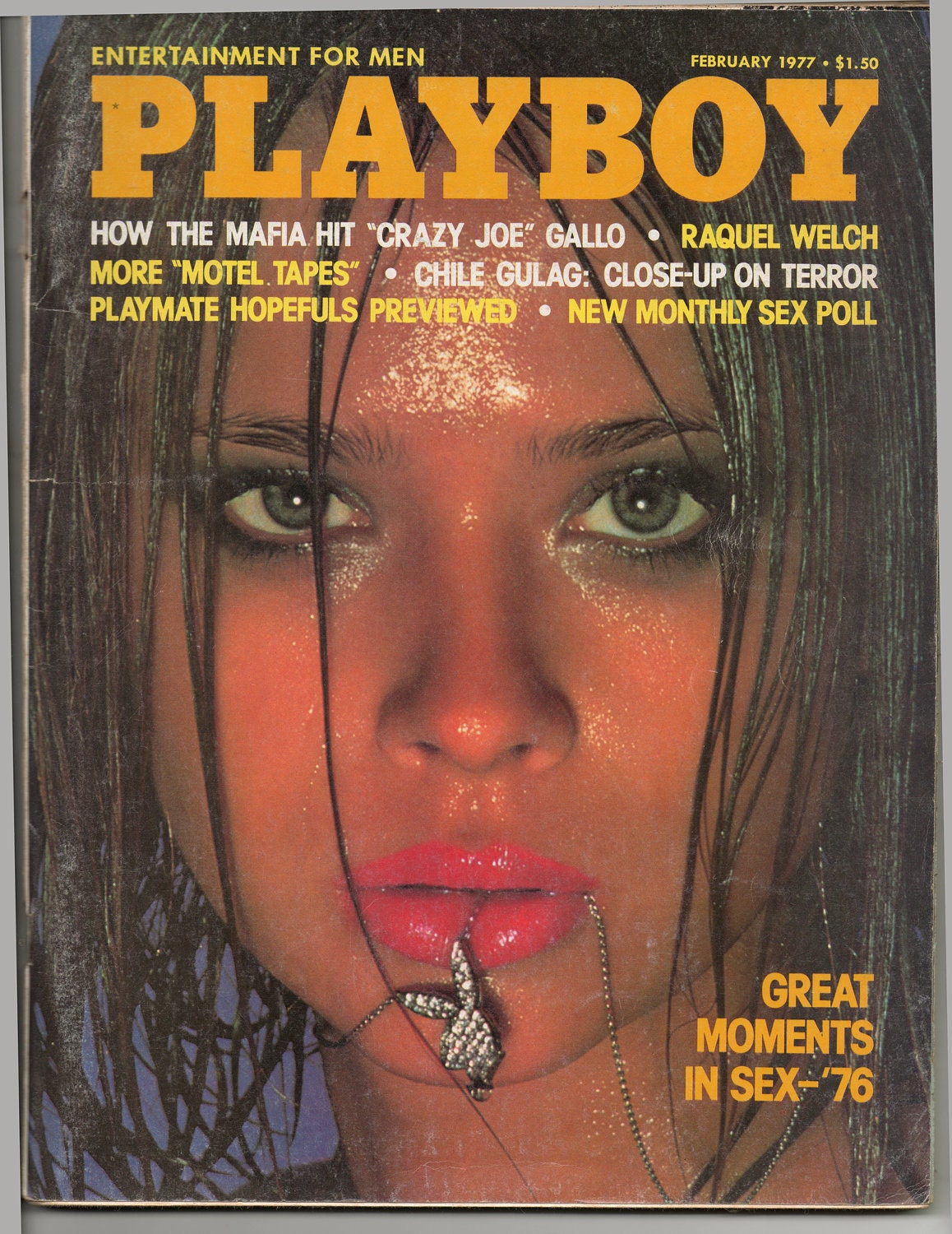 Mature Playboy February Magazine Issue By Atticemporium