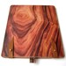 Leather iPad or kindle dx case - wood design