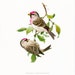 1962 German Vintage Print of the Common Redpoll