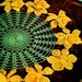 Daffodil Doily Crochet Pattern.. 14 inch.. and 14 other Floral Doily Patterns.. Placemat.. Coaster.. Daisy.. Blue Astor.. Clover.. Pansy.. PDF Email Digital Delivery