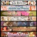 Custom Etsy shop banner with a free avatar