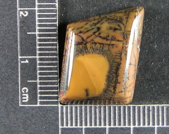 Yellow Feather Jasper Cabochon Hand Cut JYF5
