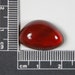 Fire Opal Cab Orange Red from Juniper Ridge Oregon ORPAL4