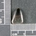 Oregon Sunstone with Schiller Cabochon ORSUN21