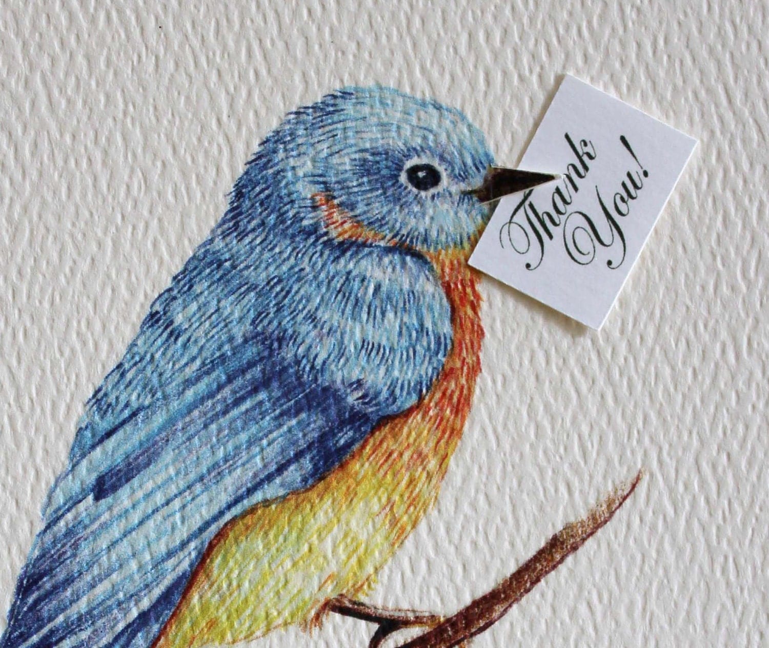 Blue Bird of Happiness Thank You Cards. Set of by LittleDoveDesign