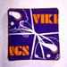 Insulated Minnesota Vikings Coasters (Set of 4)