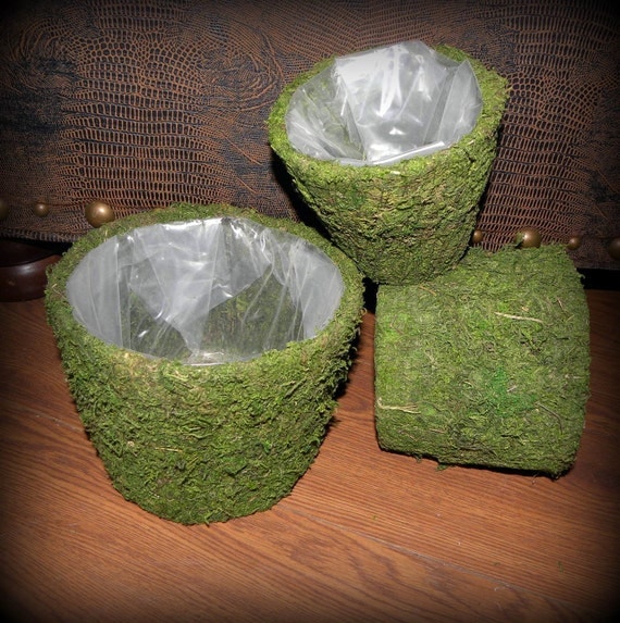 Moss basketsCreekside baskets Set of 3Moss Basket