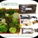 DIY New Live Moss ,mushroom and lichen Terrarium Kit FREE 17 page Book included -5 types of Moss-Peacock Spikemoss included