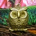 Big Eyed Hoot Owl Pendant