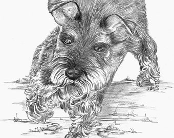 Pet Sketches in pencil, acid free paper. Perfect Holiday Gift