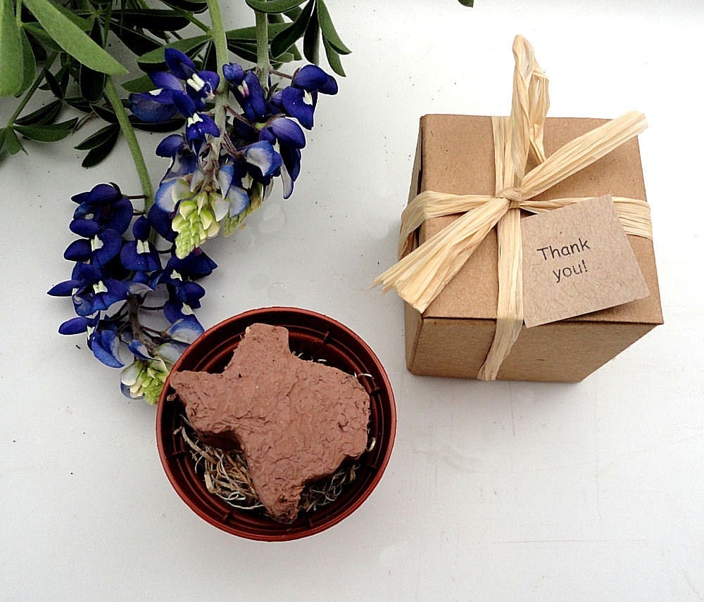 Texas Party Favors Grow a Texas Garden by NatureFavors