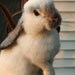 OOAK Needle felted Alpaca Life Size Lop Ear Bunny Rabbit Poseable Free shipping