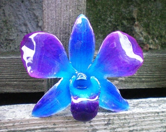 Free Shipping REAL Natural Magenta Purple and Blue ORCHID Pin and Pendant