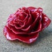 Free Shipping REAL Natural Dark Marsala Red ROSE Pin and Pendant