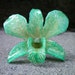 Real Natural Shades of Green ORCHID Pendant and Pin