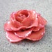 REAL Mauve Pink ROSE Pin and Pendant Nature Inspired Jewelry