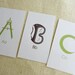 3x5 abc file cards