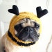 Dog Hat - All You Need Is Love Hat in Yellow and Black