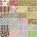 Gypsy Caravan - Half Yard Bundle - by Amy Butler for Westminster - Entire Collection - 12 Yards Total