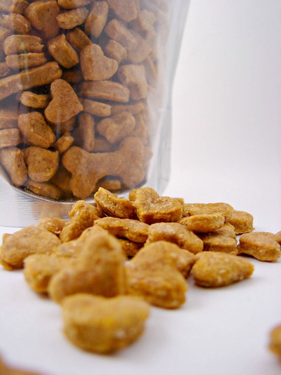 All Natural Cat TreatsPumpkin & Catnip Flavor With