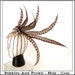 Swept Away... Pheasant Feather Fascinator