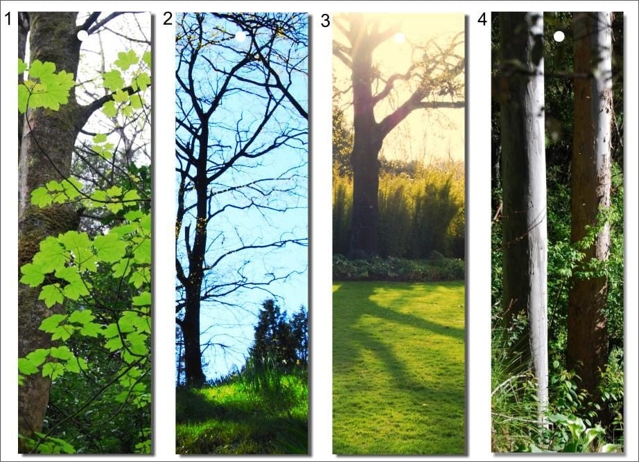 Printable Bookmarks tree prints Four Photographic by NewCreatioNZ