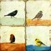 The bird watcher - encaustic paintings SET of 4