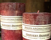 Candle: Fragrant Dark Red Cranberry Pomegranate Cinnamon & Clove Pillar Candle 3x4.5 As Seen In Etsy Finds