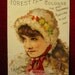 Vintage 1886 Victorian Trade Card Austen's Forest Flower Cologne